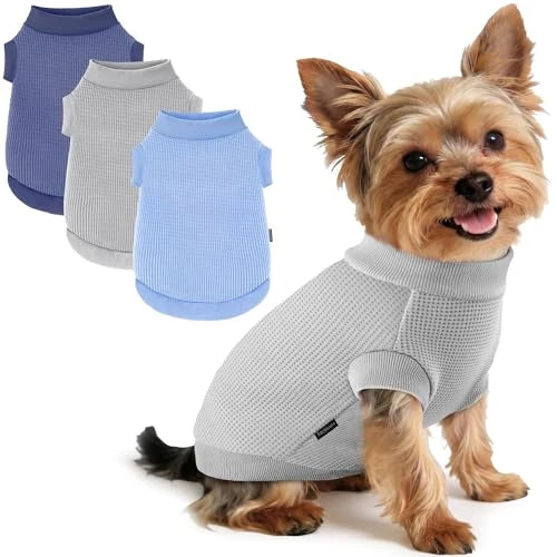 Soft Waffle Dog Sweatshirt