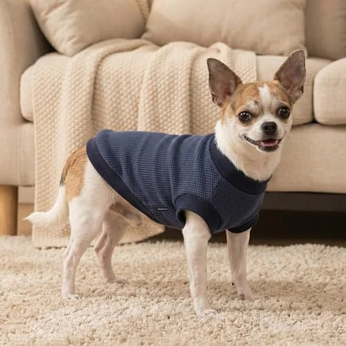 Soft Waffle Dog Sweatshirt