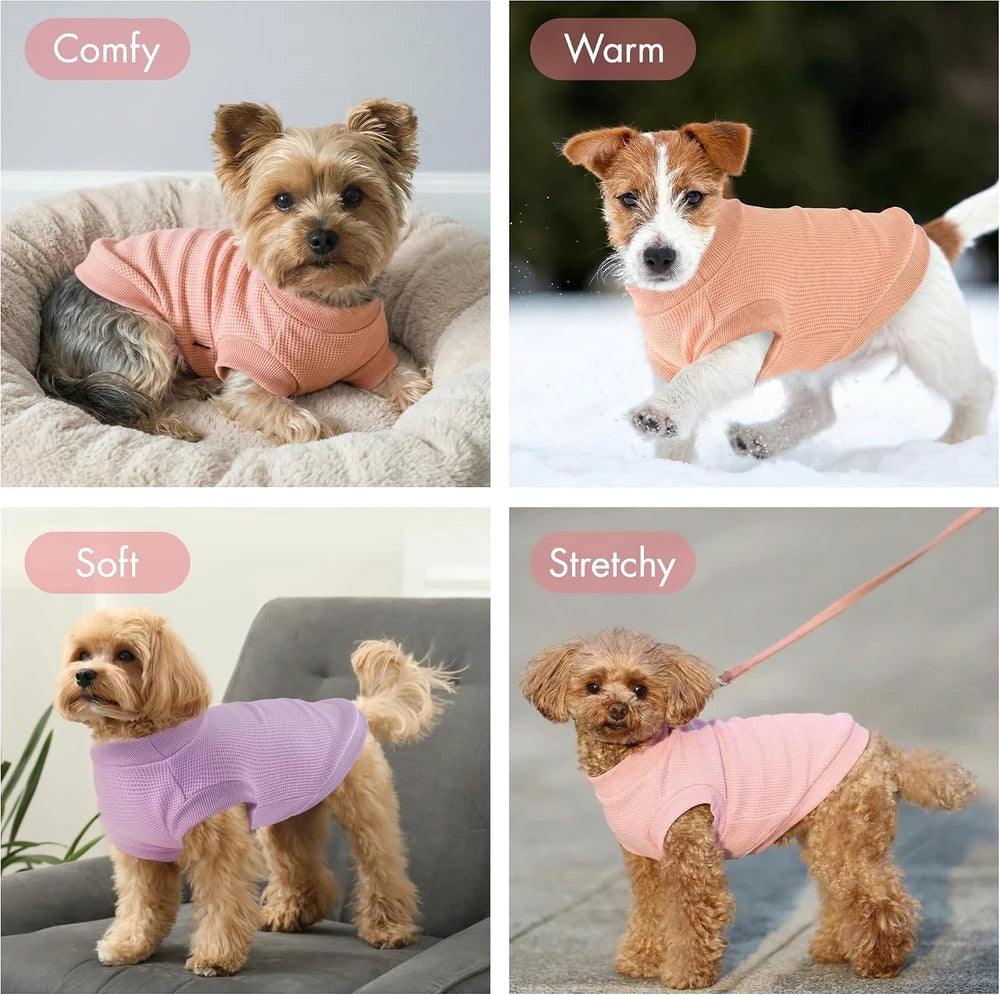 Waffle Knit Dog Shirt