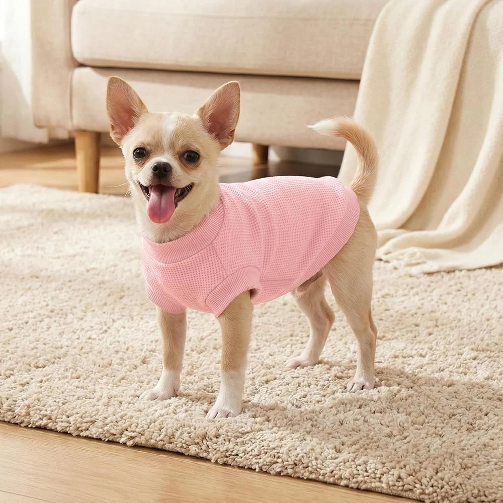 Waffle Knit Dog Shirt