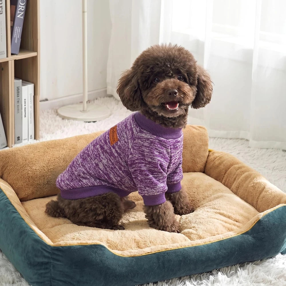 Fleece Dog Sweater Pack