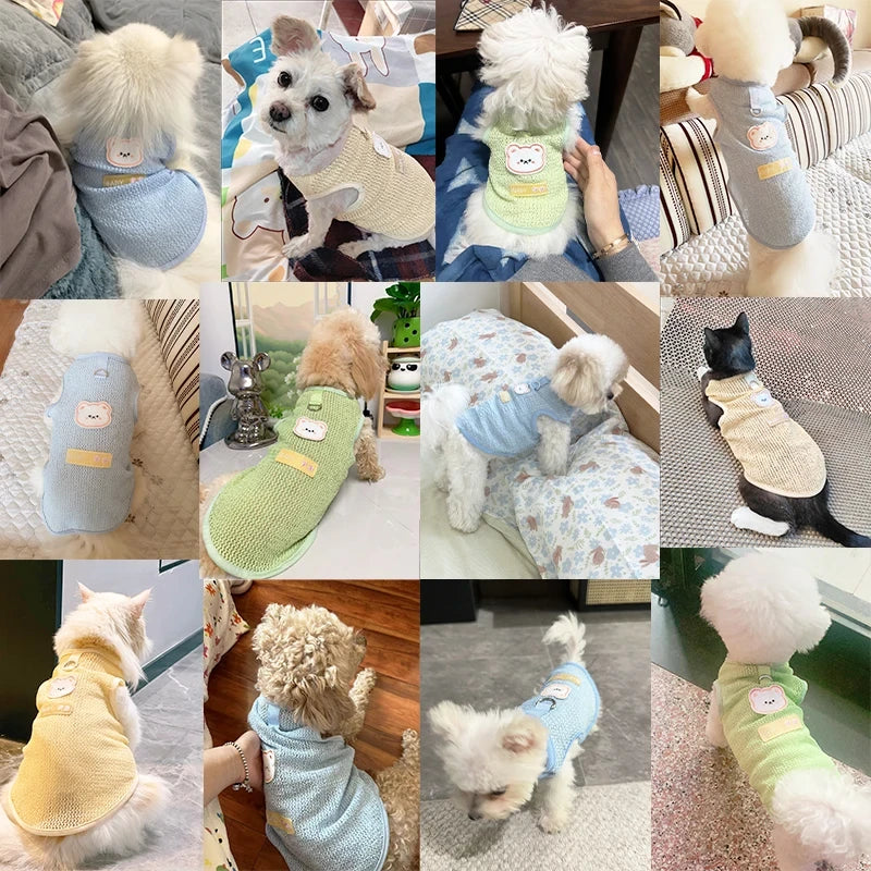Bear Print Dog Vest