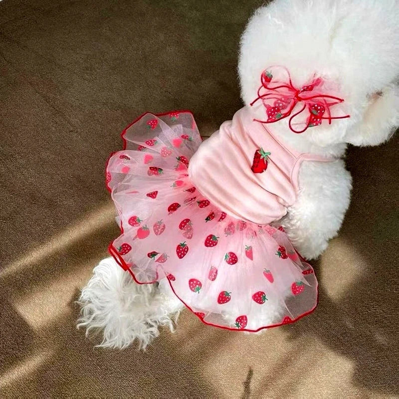 Strawberry Print Dog Dress
