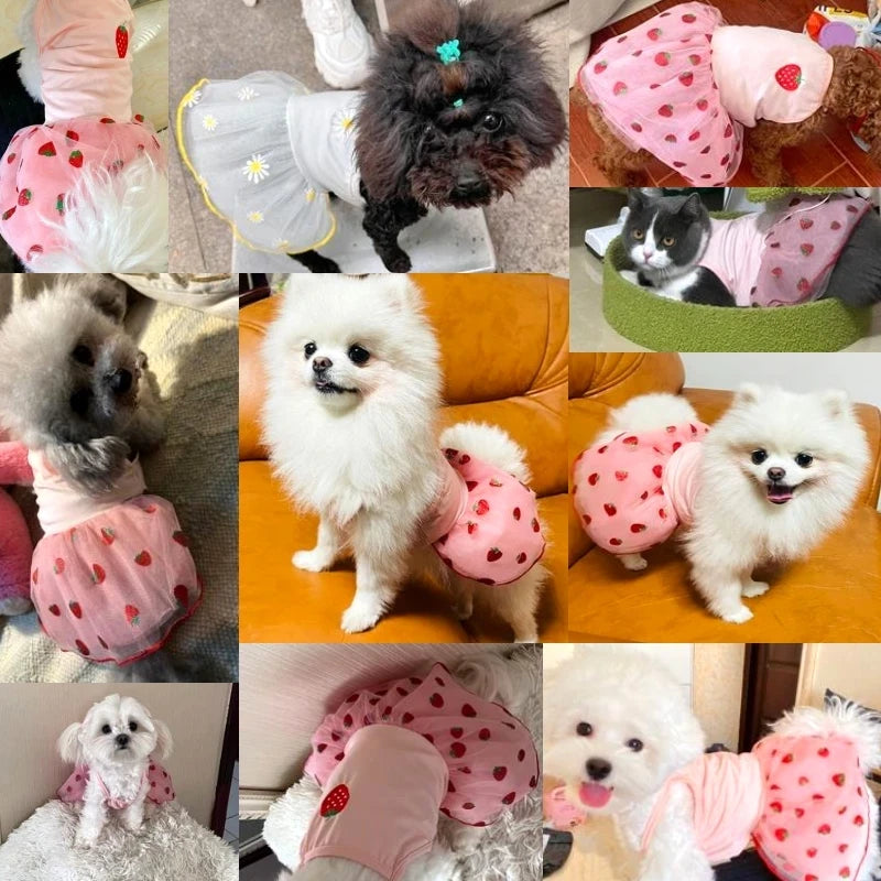 Strawberry Print Dog Dress