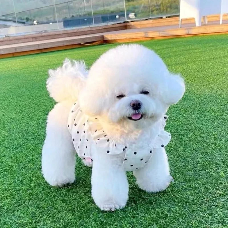 Dot Dog Summer Dress