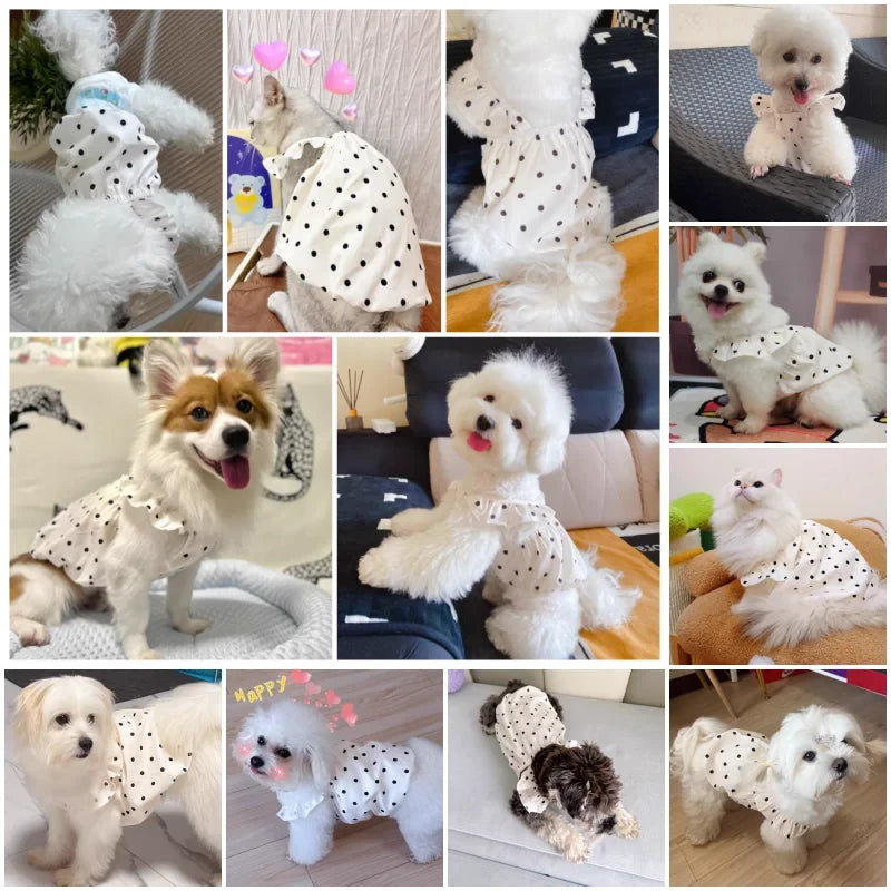 Dot Dog Summer Dress