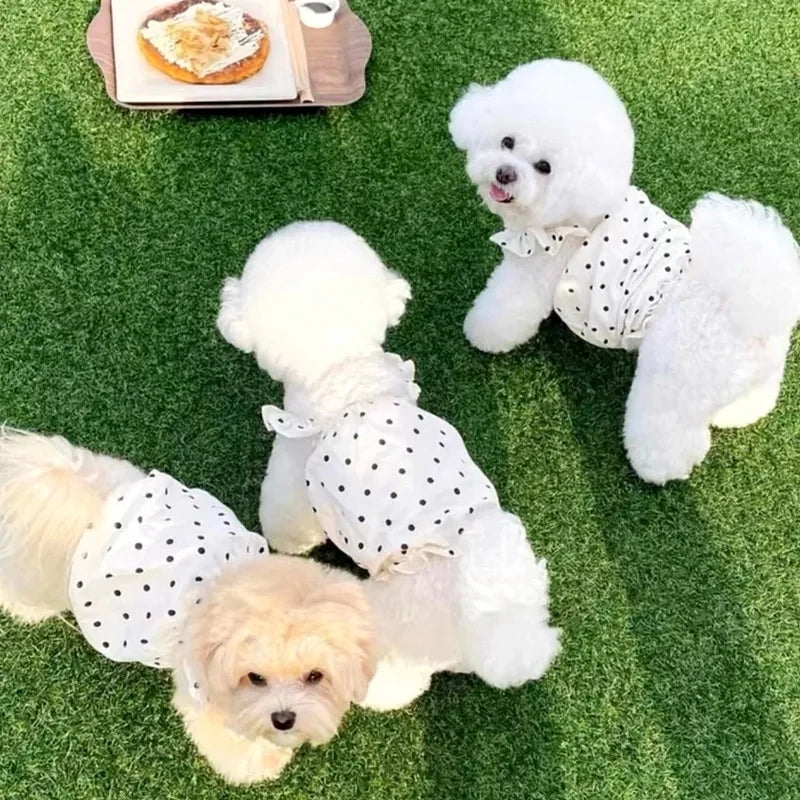Dot Dog Summer Dress