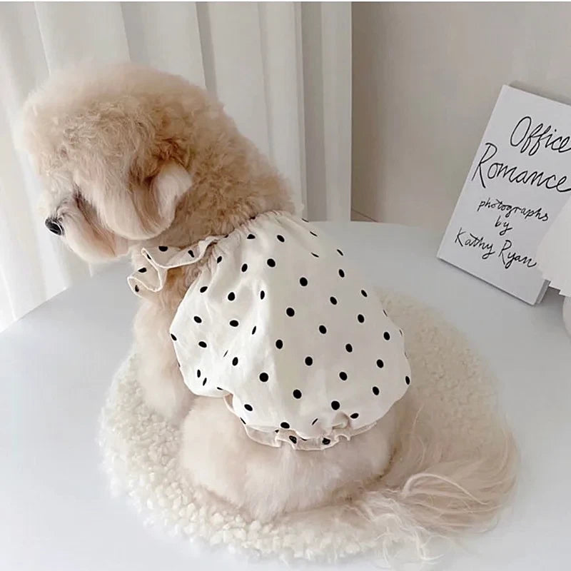 Dot Dog Summer Dress