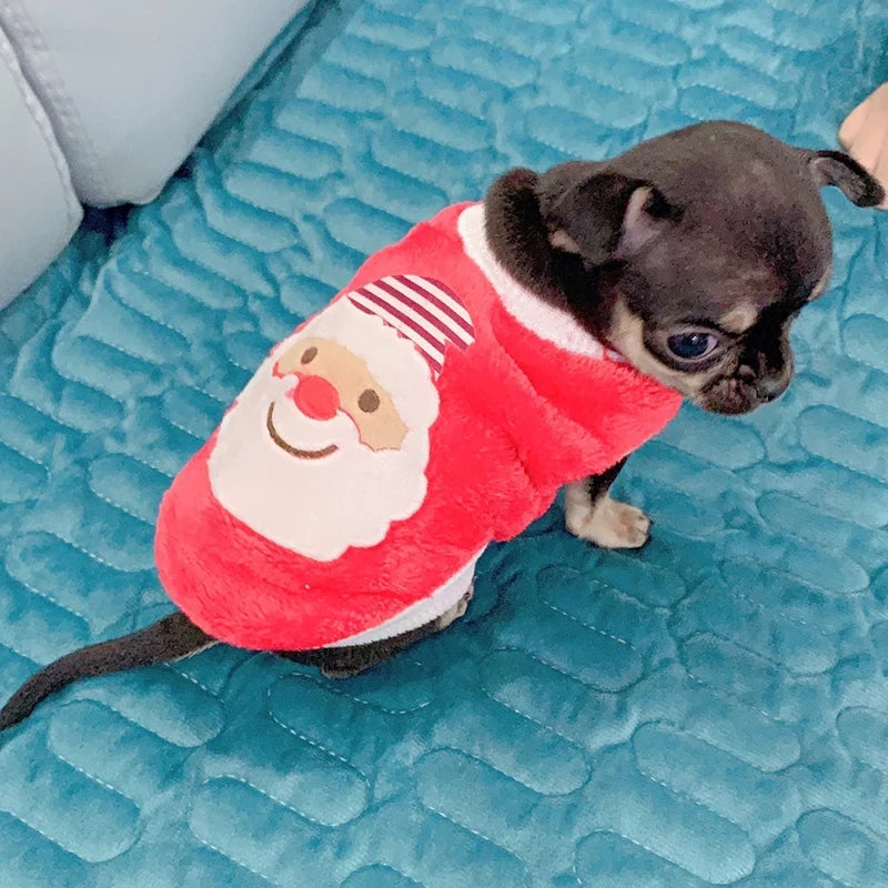 Fleece Tea Cup Dog Sweater