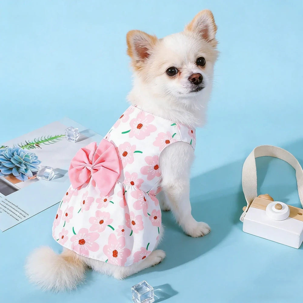 Vibrant Floral Pet Dress